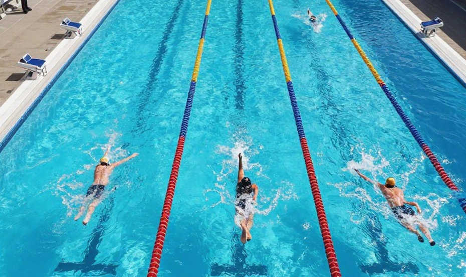 Vietnamese Youth Swimming: When the Pool Lane is Smaller Than Victory