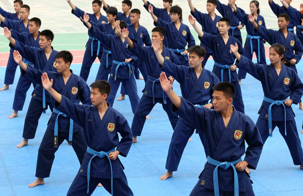 Bài Quyền Và Bảng Điểm: Cuộc Chiến Âm Thầm Của Võ Cổ Truyền Việt Nam