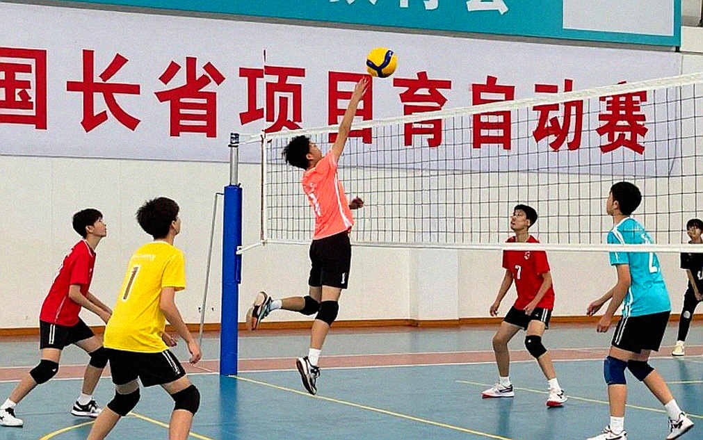 A Decade of Challenge in Volleyball: When Referees Must Reconcile the Rulebook with Twelve Cameras A Decade of Challenge in Volleyball: When Referees Must Reconcile the Rulebook with Twelve Cameras